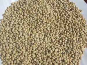 Soya beans