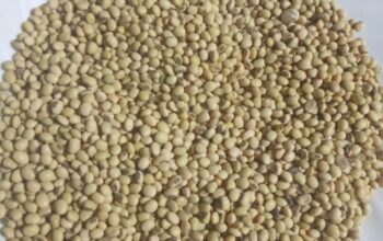 Soya beans