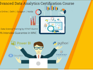 Data Analyst Course in Delhi