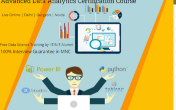 Data Analyst Course in Delhi