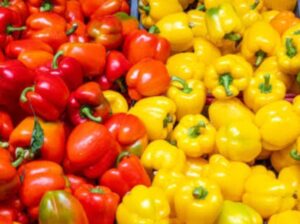 Red and Yellow Capsicum