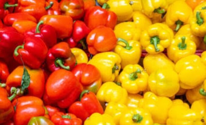 Red and Yellow Capsicum