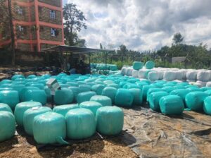 Baled Silage