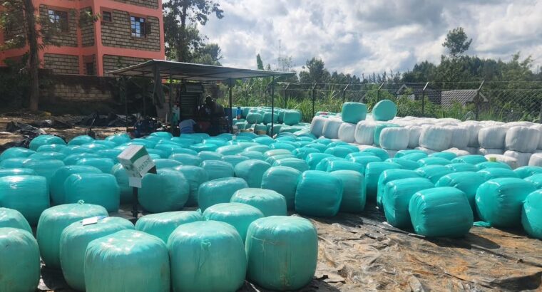 Baled Silage