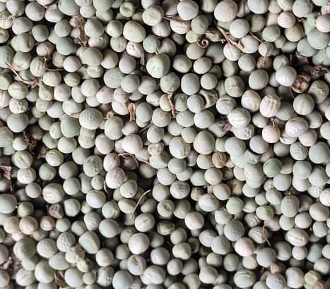 Grano Peas (Minji)