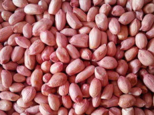 Peanut tankogrouplimitedtz.com