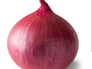 Red onion hybrid