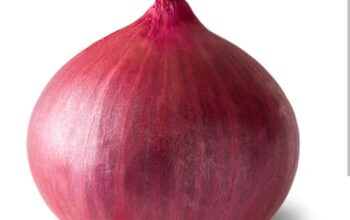 Red onion hybrid