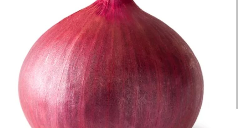 Red onion hybrid