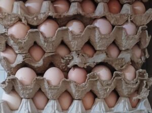 Eggs at ongata rongai