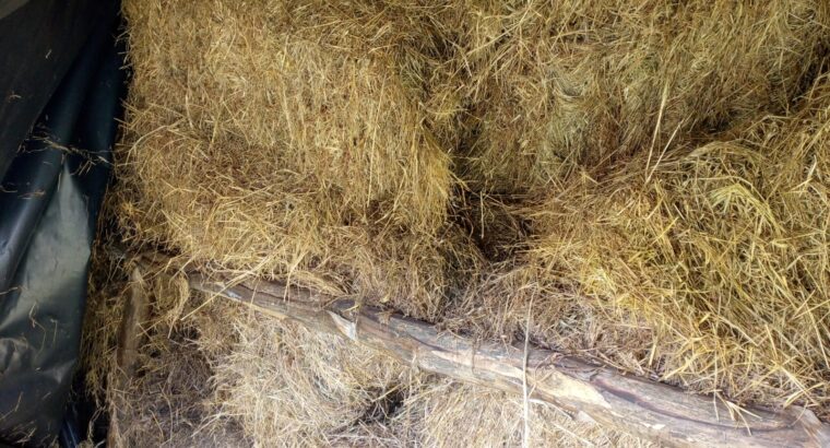 Hay bales for sale