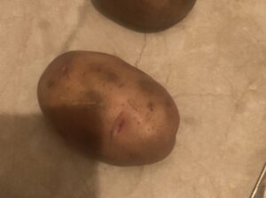 Fresh potatoes