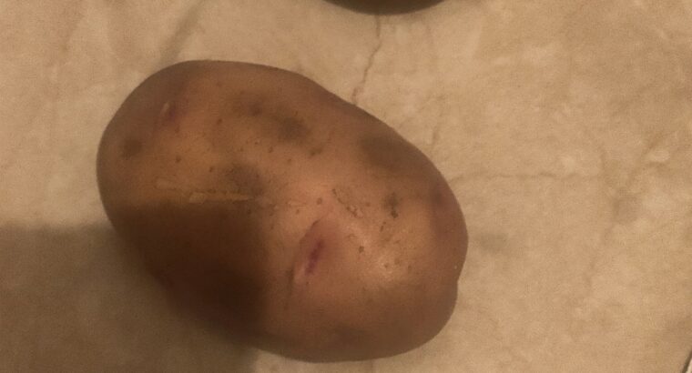 Fresh potatoes