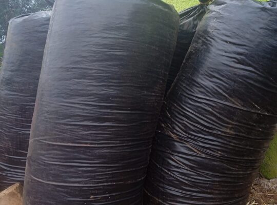 Silage bag (Rolls)