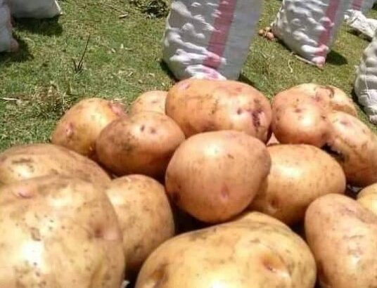 Shangi Potatoes on Sale