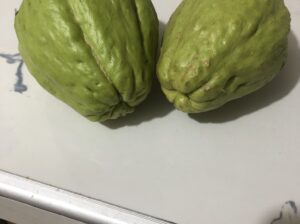 Very fresh organic Chayote