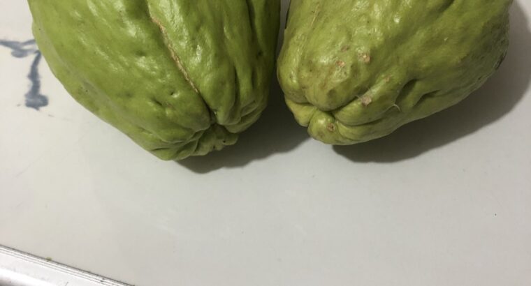 Very fresh organic Chayote