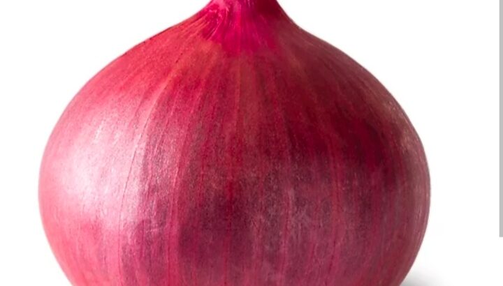 Red Bulb Onions 20tonnes