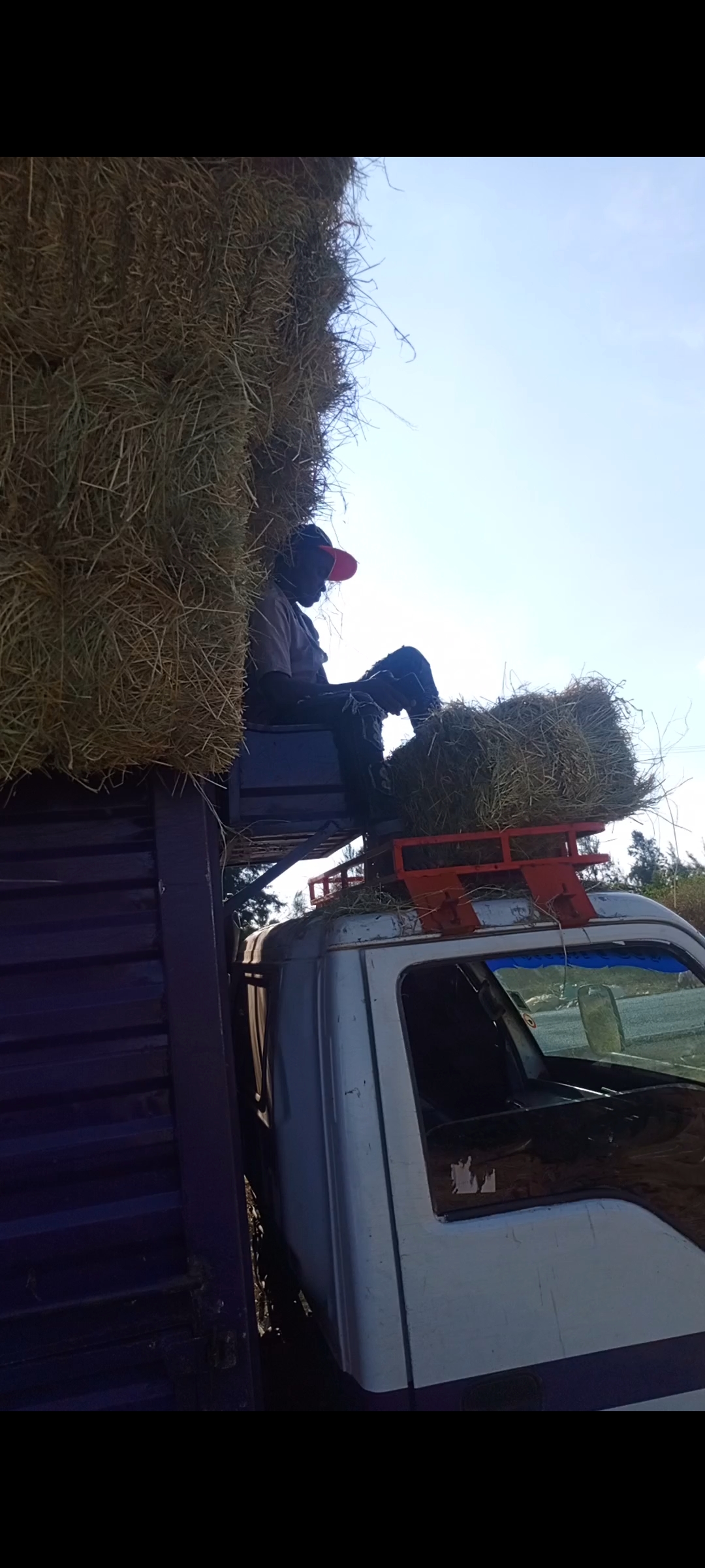 Rice straw bales – Farmers Market Kenya