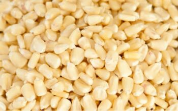 Dry maize